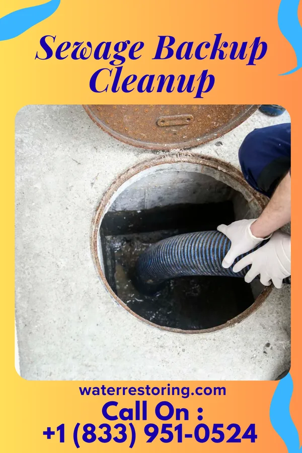Sewage Backup Cleanup in Netcong, NJ